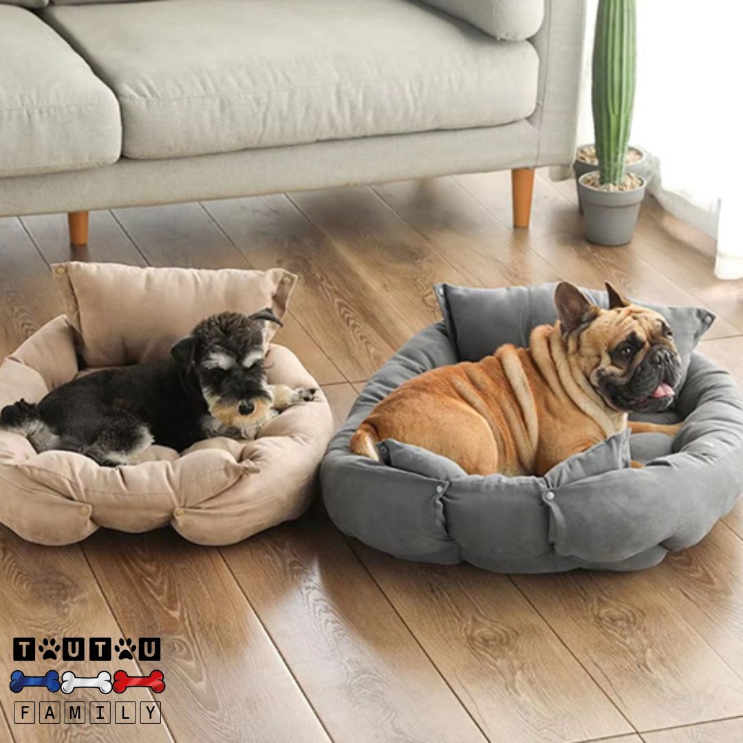 Coussin chien modulable - LuxeToutou™