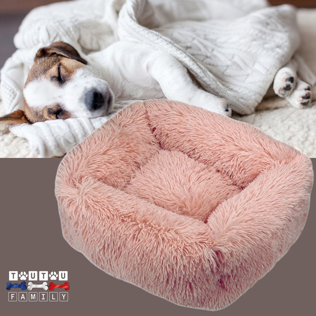 Coussin chien respirant - BlottiToutou™
