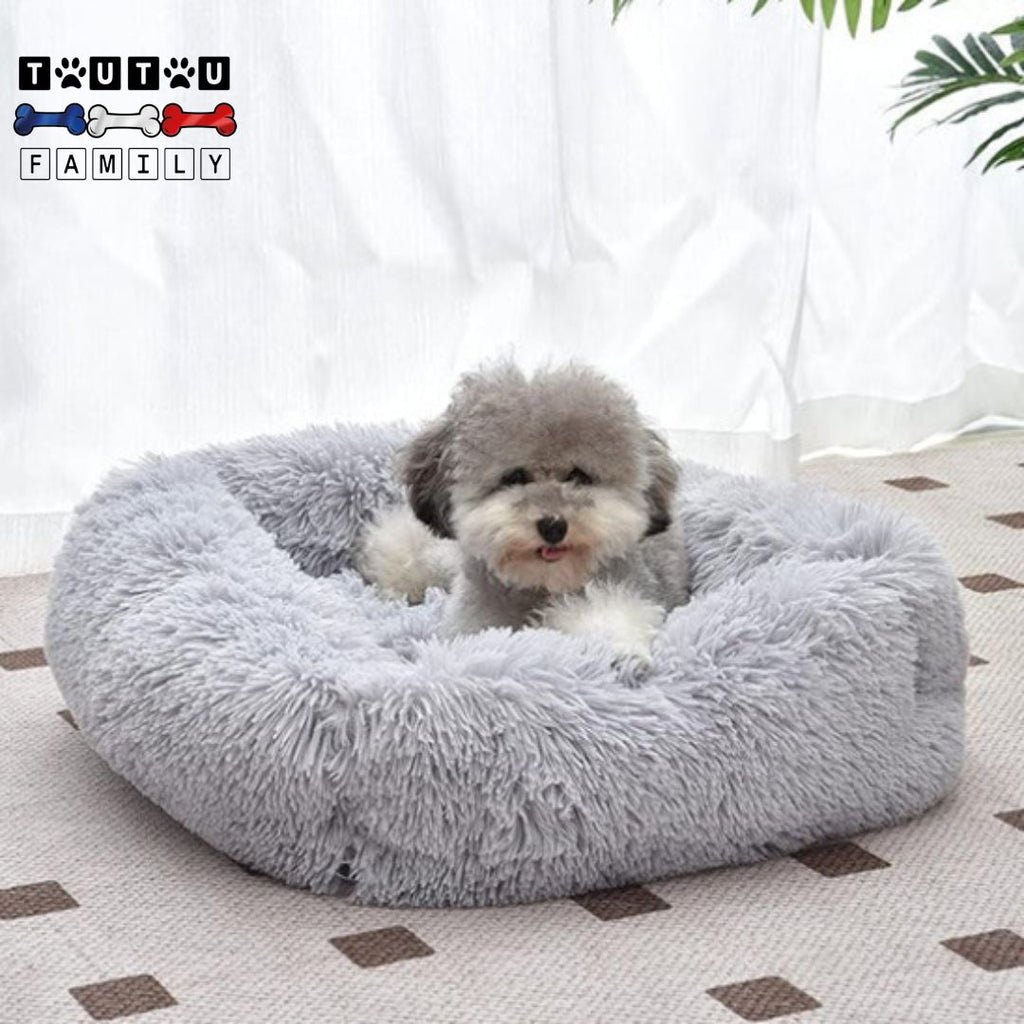 Coussin chien respirant - BlottiToutou™