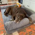 COUSSIN CHIEN XXL – MAXIDODO™