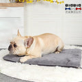 Coussin-dehoussable-chien-transportable