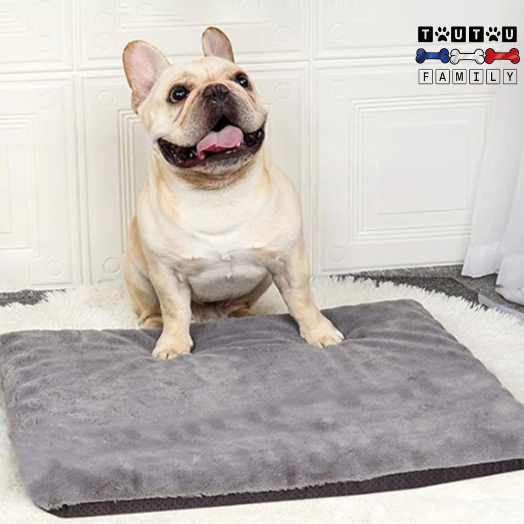 Coussin dehoussable chien - NuageToutou™