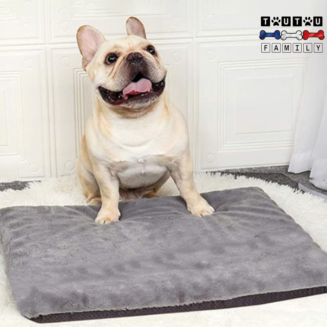 Coussin dehoussable chien - NuageToutou™