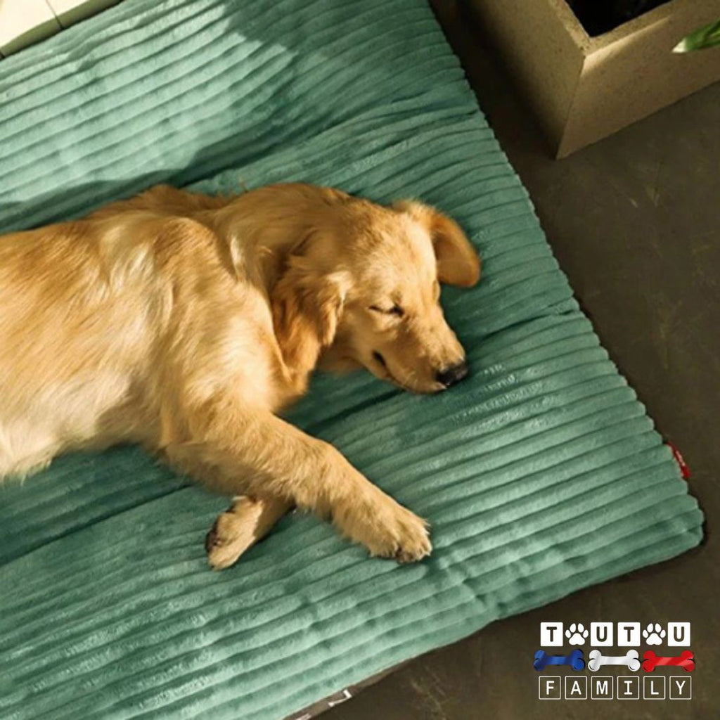 Coussin dehoussable chien - PénardToutou™