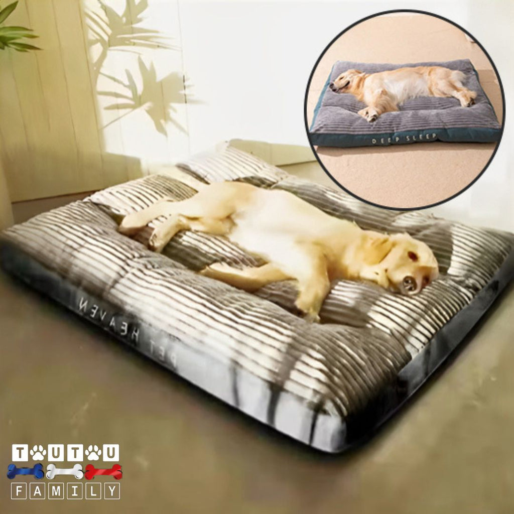 Coussin dehoussable chien - PénardToutou™