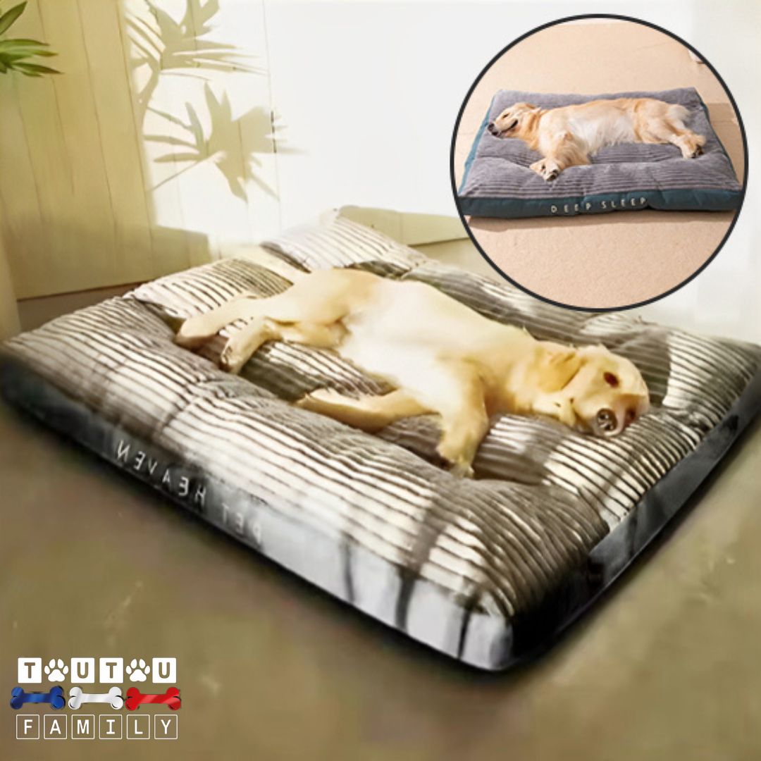 Coussin dehoussable chien - PénardToutou™