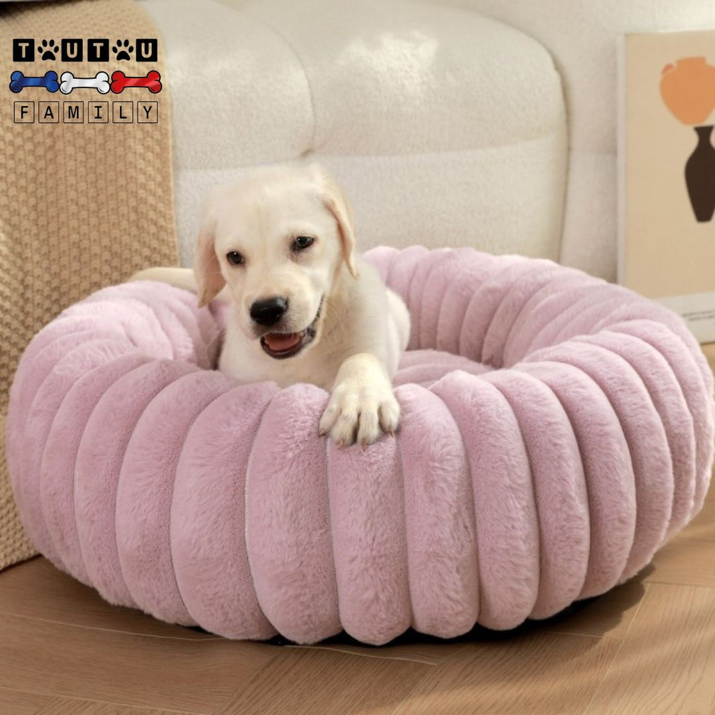 Coussin pour chien - CosyToutou™