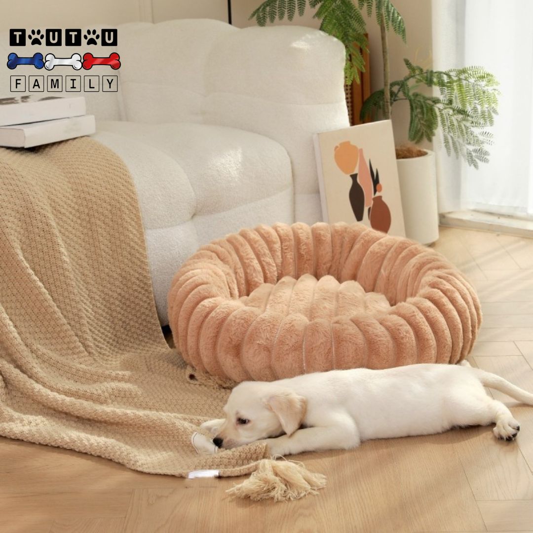 Coussin pour chien - CosyToutou™
