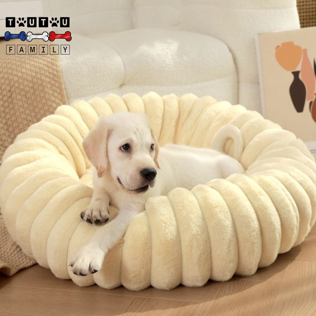 Coussin pour chien - CosyToutou™