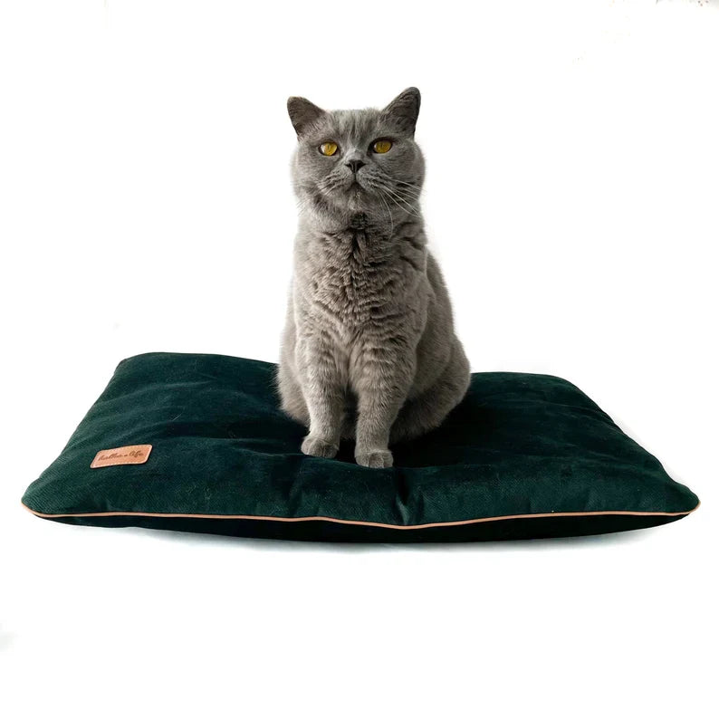 Coussin En Velours Imperméable Pour Chien
