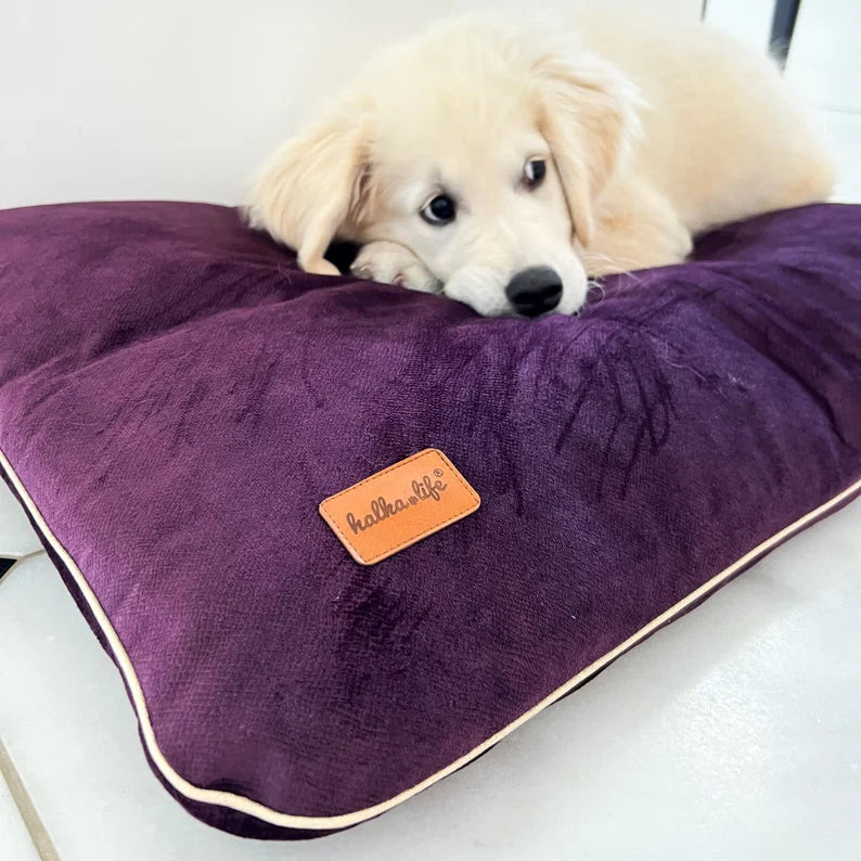 Coussin En Velours Imperméable Pour Chien