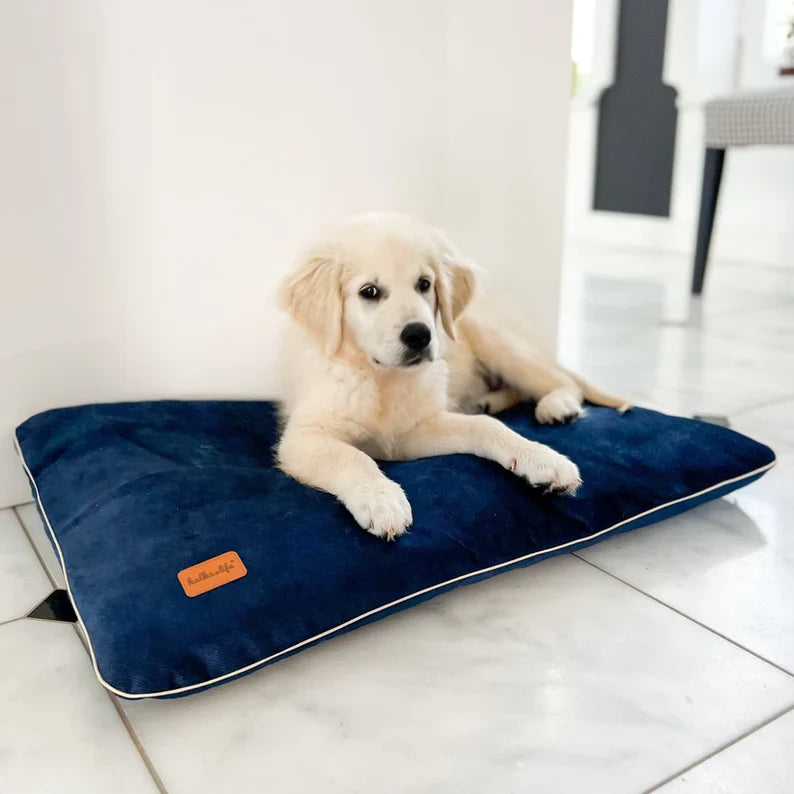Coussin En Velours Imperméable Pour Chien