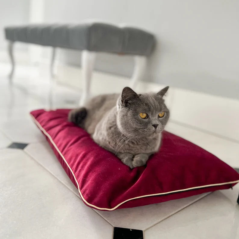 Coussin En Velours Imperméable Pour Chien
