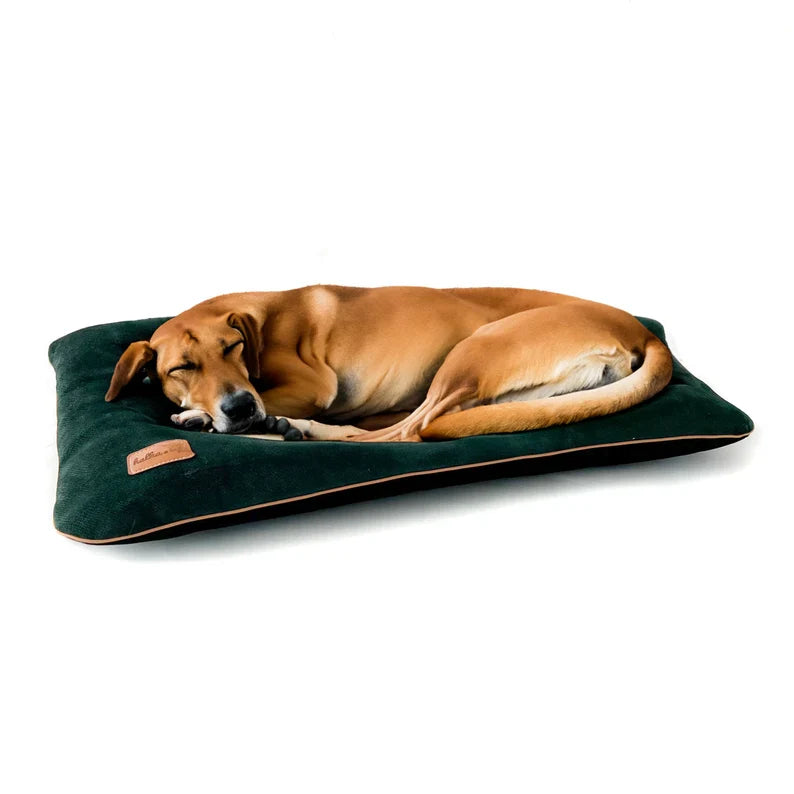 Coussin En Velours Imperméable Pour Chien