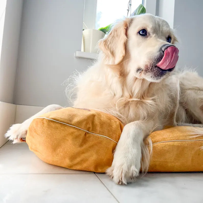 Coussin En Velours Imperméable Pour Chien