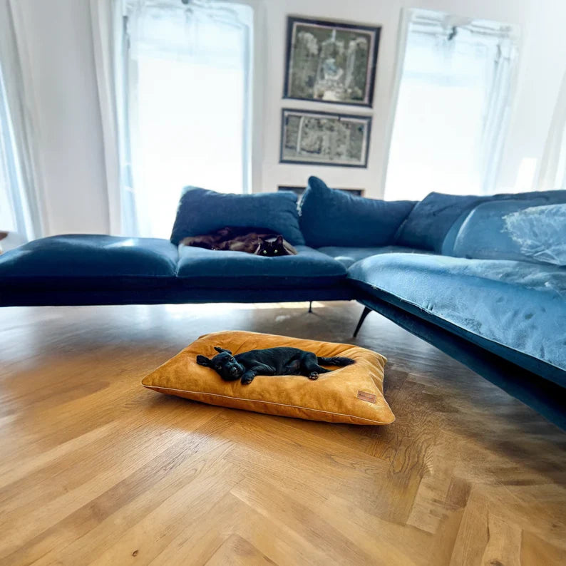 Coussin En Velours Imperméable Pour Chien
