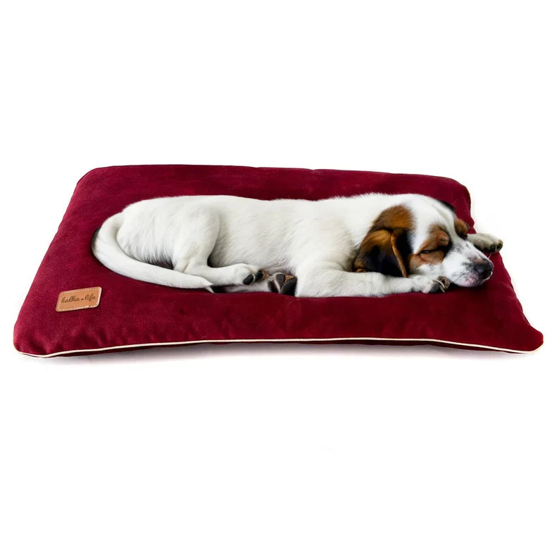 Coussin En Velours Imperméable Pour Chien
