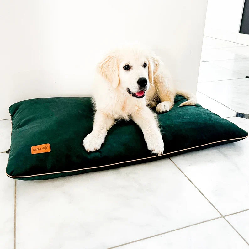 Coussin En Velours Imperméable Pour Chien
