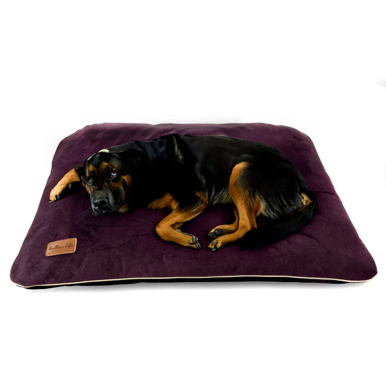 Coussin En Velours Imperméable Pour Chien