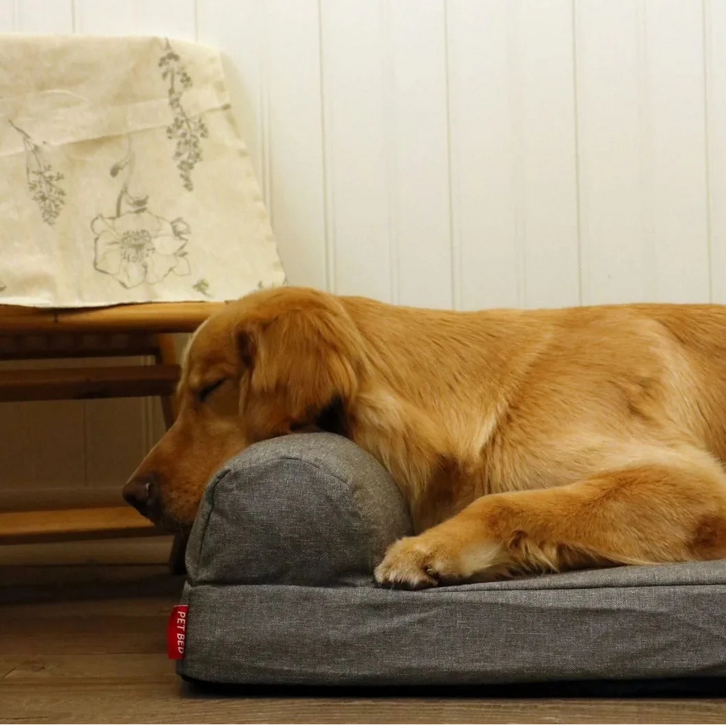 Coussin Orthopédique A Mémoire De Forme Pour Chien
