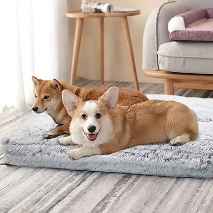 Coussin Moelleux  Lavable Pour Chien