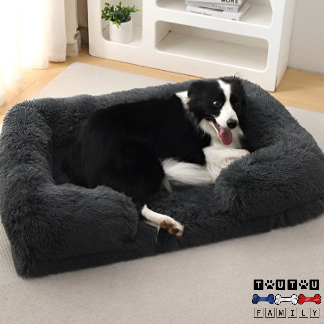 Coussin orthopédique pour chien - SantéToutou™