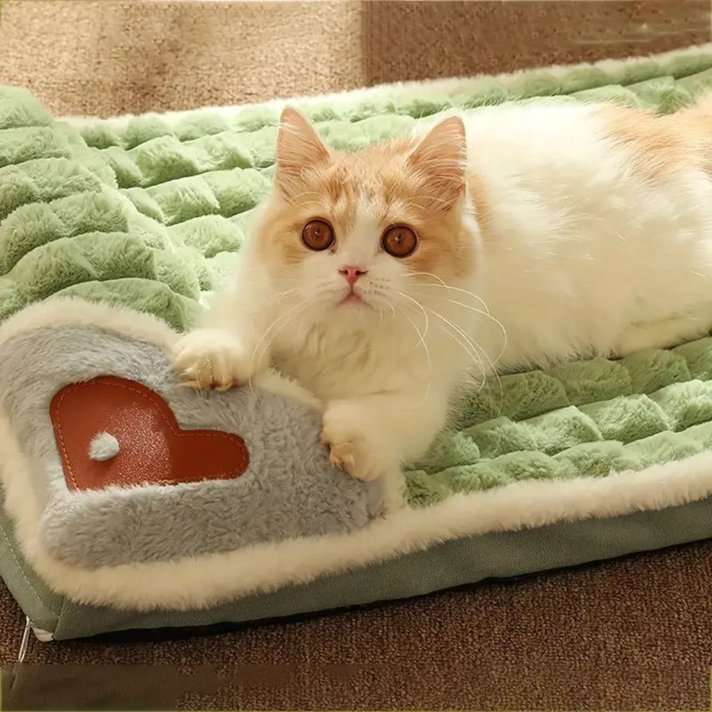 coussin pour chat DODOLUX