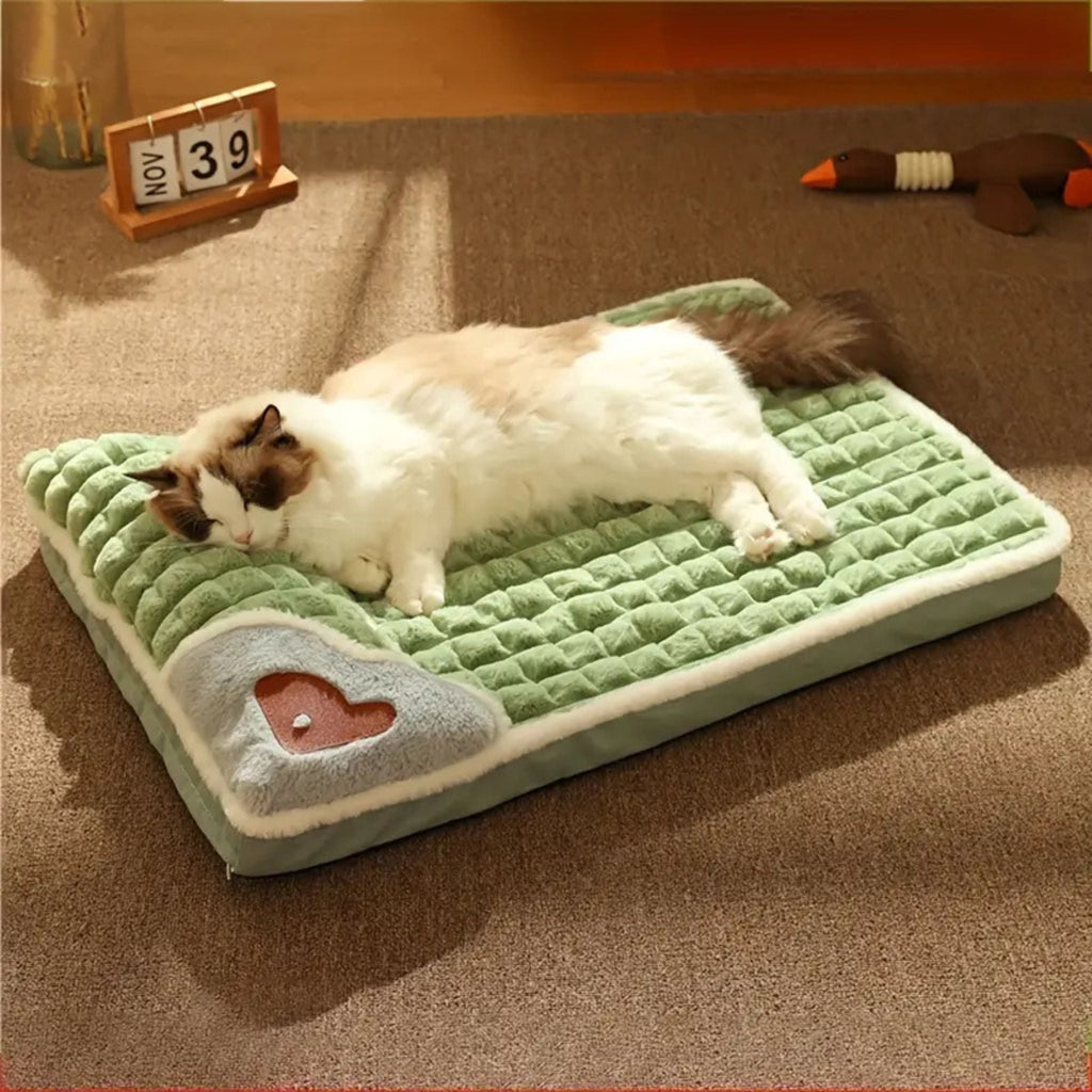 coussin pour chat DODOLUX