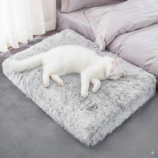 coussin pour chat orthopédique