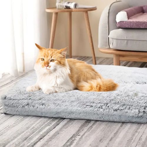 coussin pour chat orthopédique