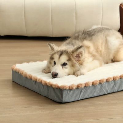 COUSSIN POUR CHIEN DÉHOUSSABLE RELAXPAW™