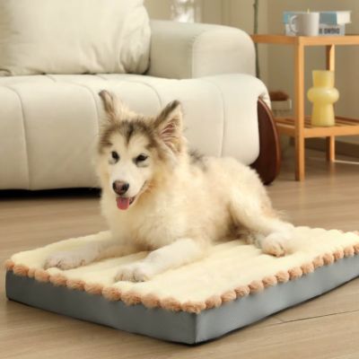 COUSSIN POUR CHIEN DÉHOUSSABLE RELAXPAW™
