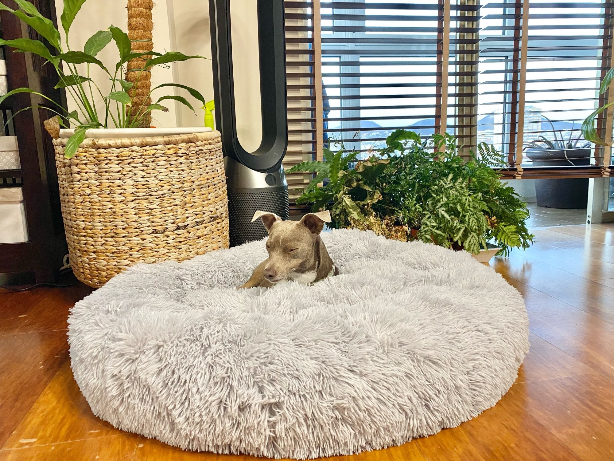 Coussin Chien XXL | ConfortCaninXXL™