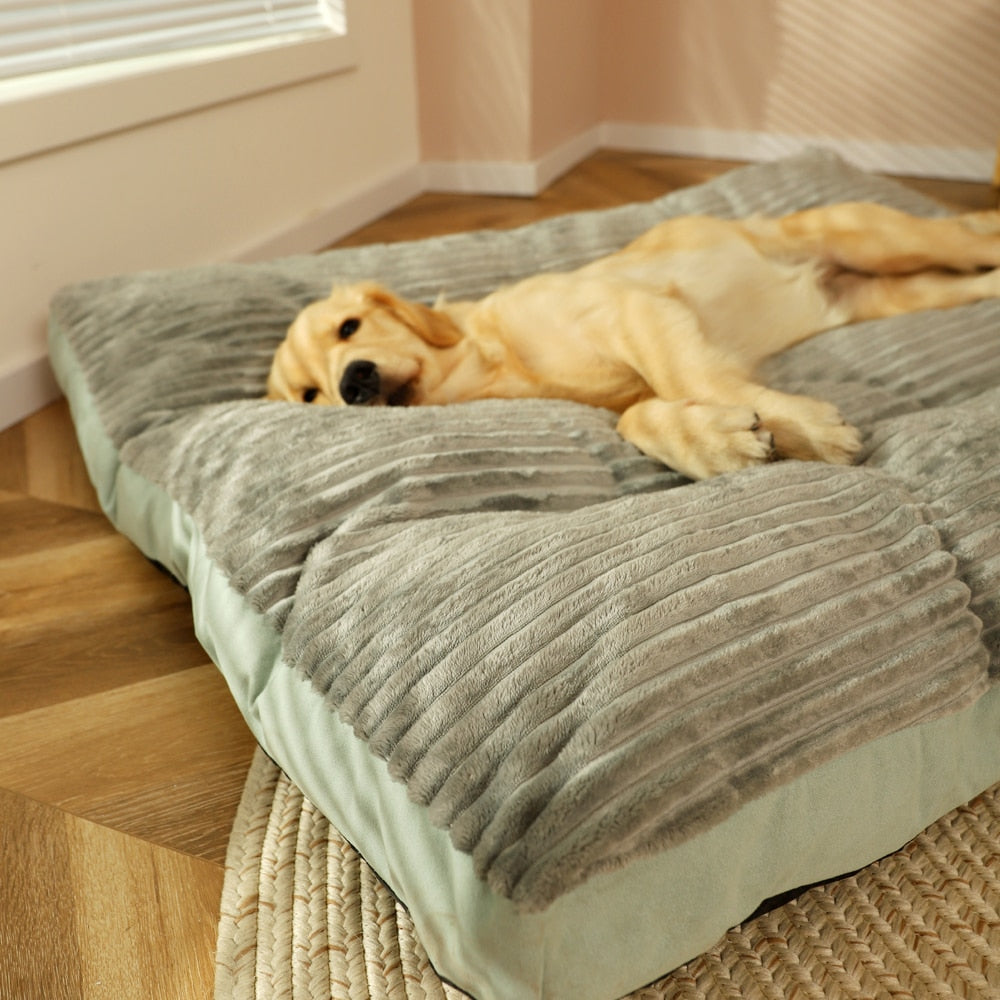 Coussin chien XXL | ComfyWoof™