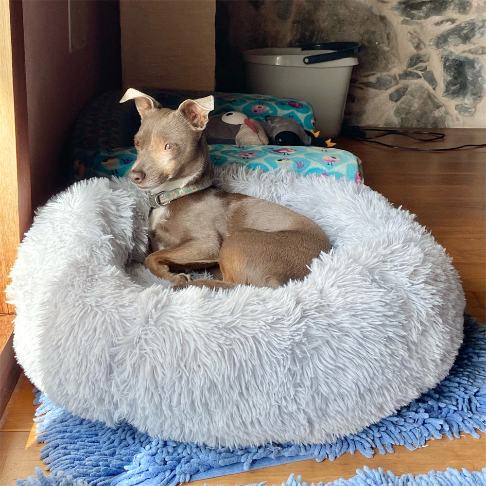 Coussin Chien XXL | ConfortCaninXXL™