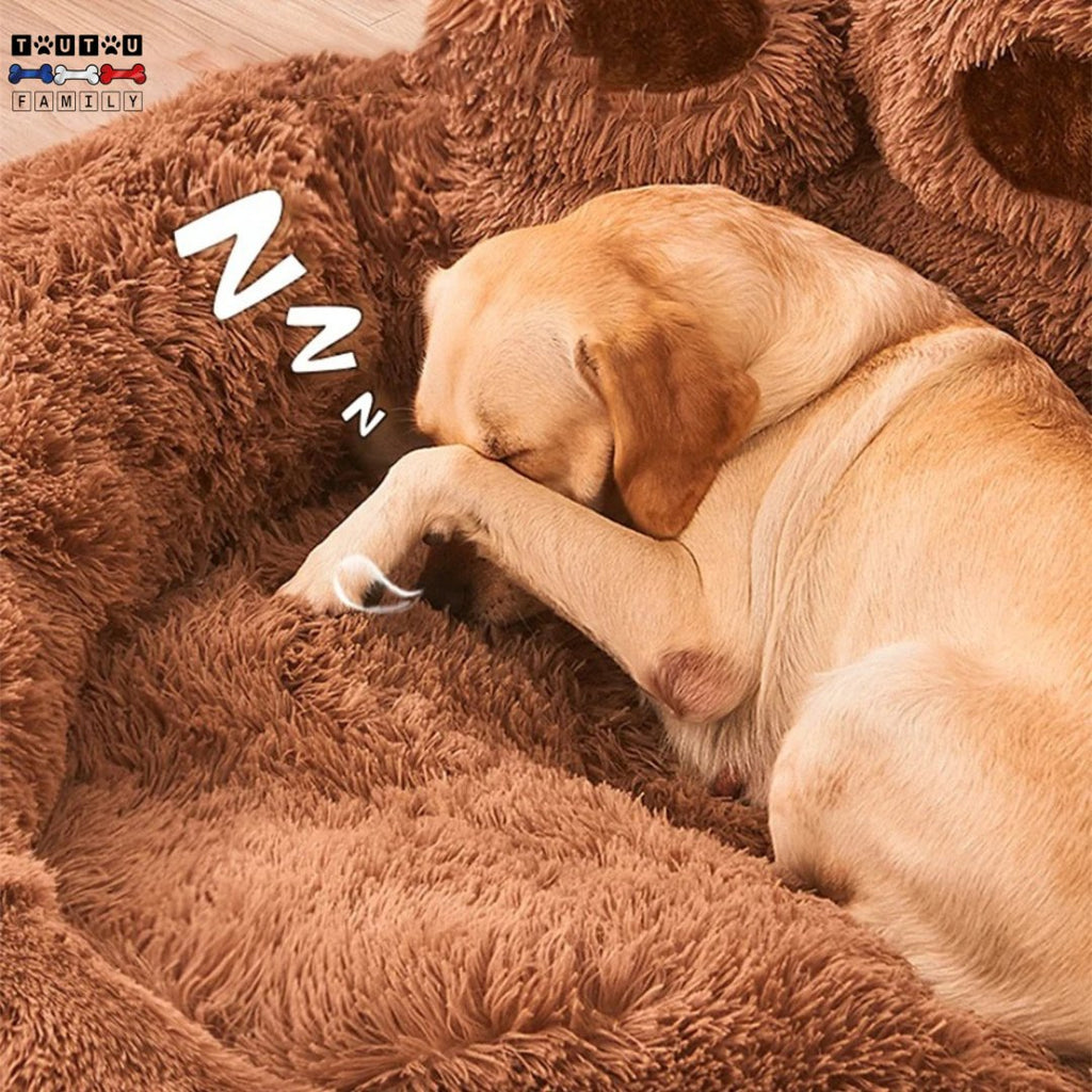 Coussin pour chien - SofaToutou™