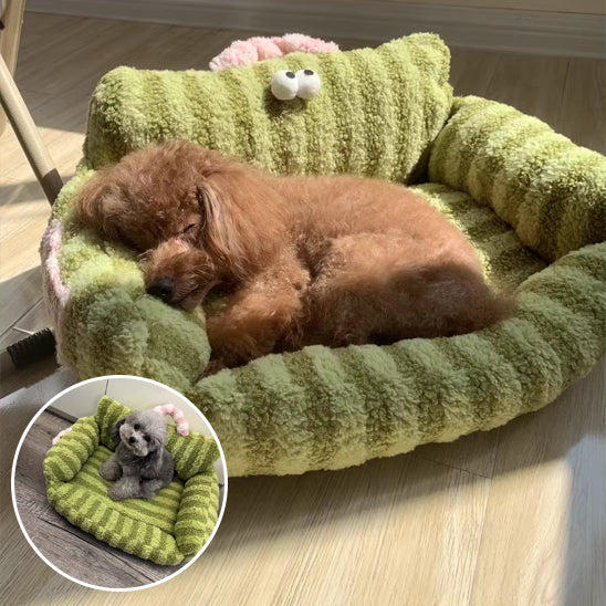 Coussin pour chien - Sofa