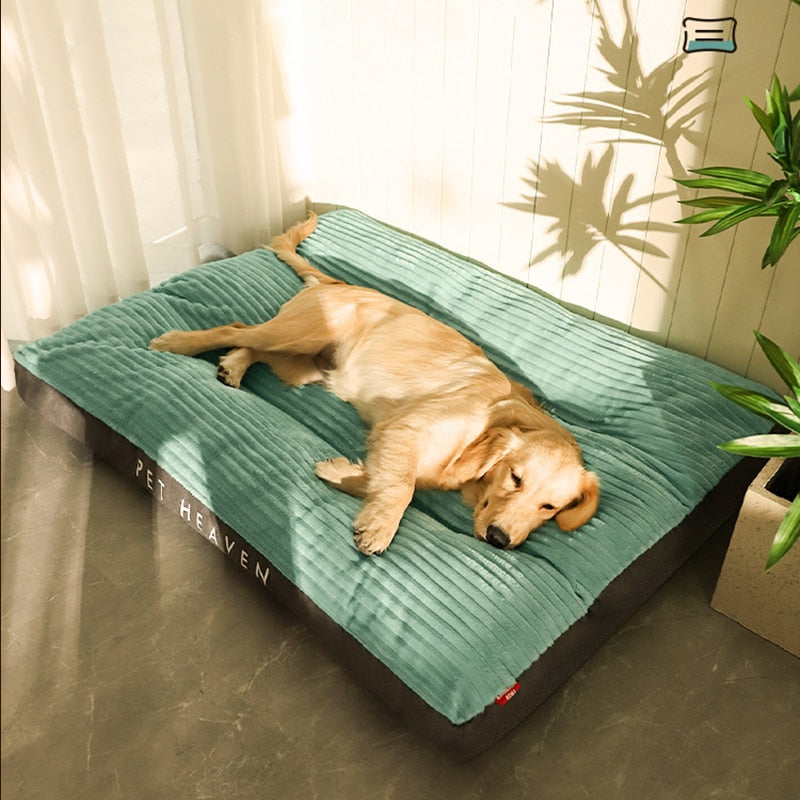 coussin-chien-xxl-apaisant-moelleux