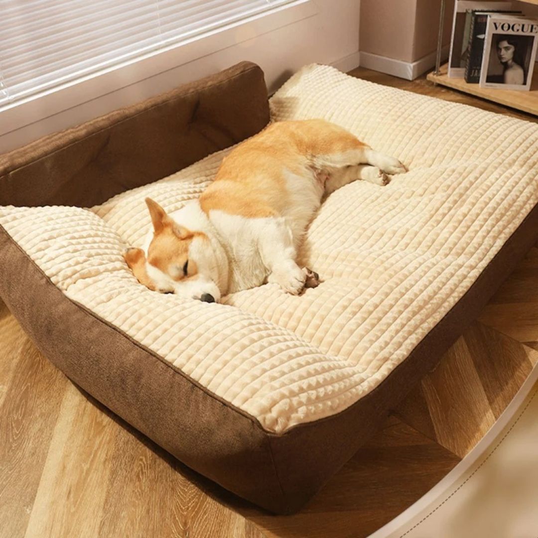 Coussin pour chien xxl - DéhoussableToutou™