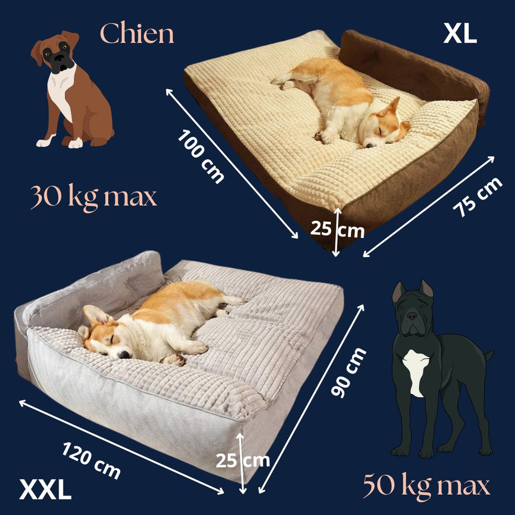 Coussin pour chien xxl - DéhoussableToutou™