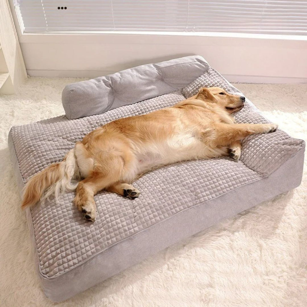Coussin pour chien xxl - DéhoussableToutou™