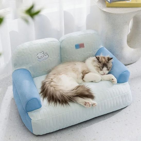 Coussin Rafraichissant Chat Canapé