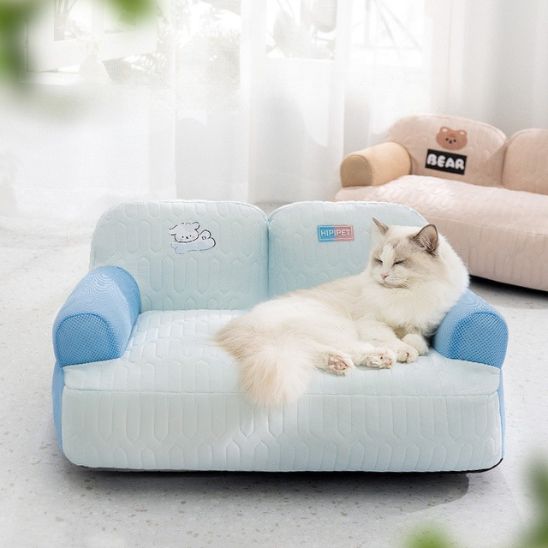 Coussin Rafraichissant Chat Canapé