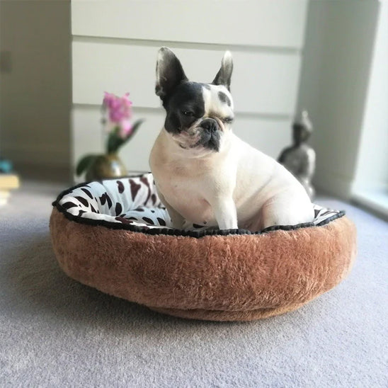 Coussins pour chien - DreamPaws™