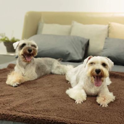 COUVERTURE CHIEN – COZYPOD™