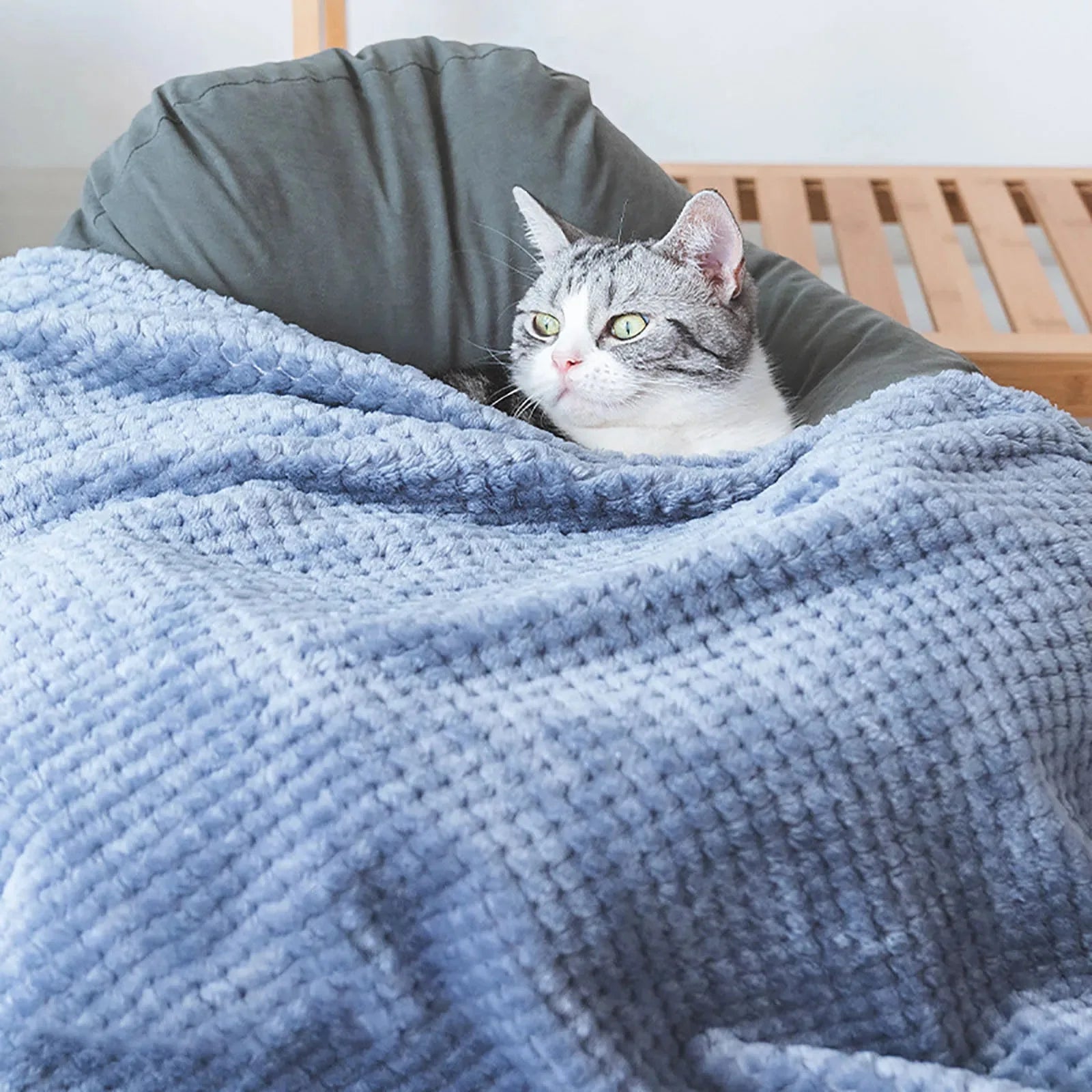 Couverture Douce Et Moelleuse Pour Chien Et Chat