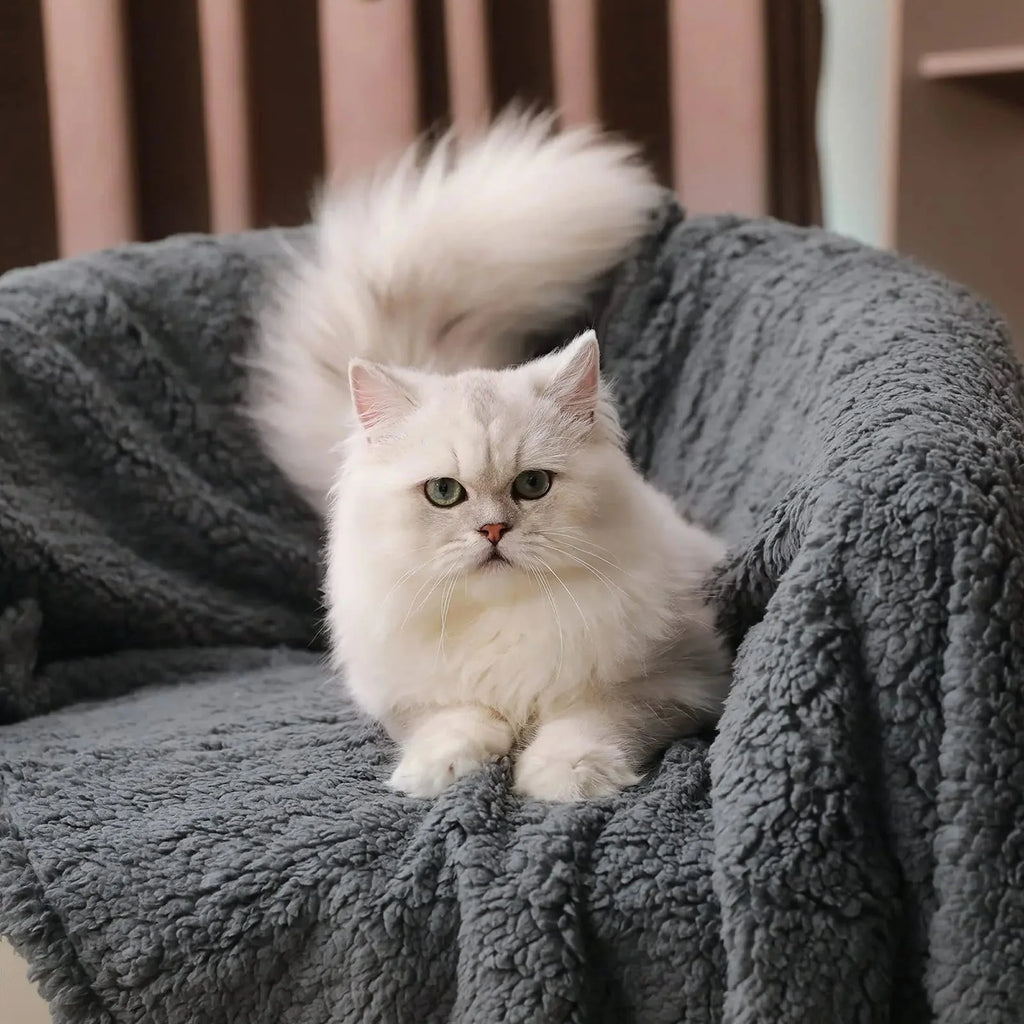 Couverture Douce Et Moelleuse Pour Chien Et Chat