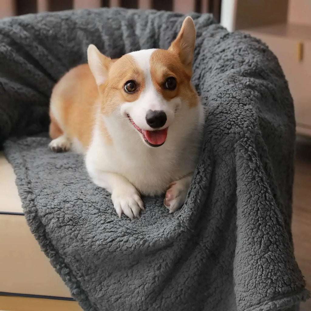 Couverture Douce Et Moelleuse Pour Chien Et Chat