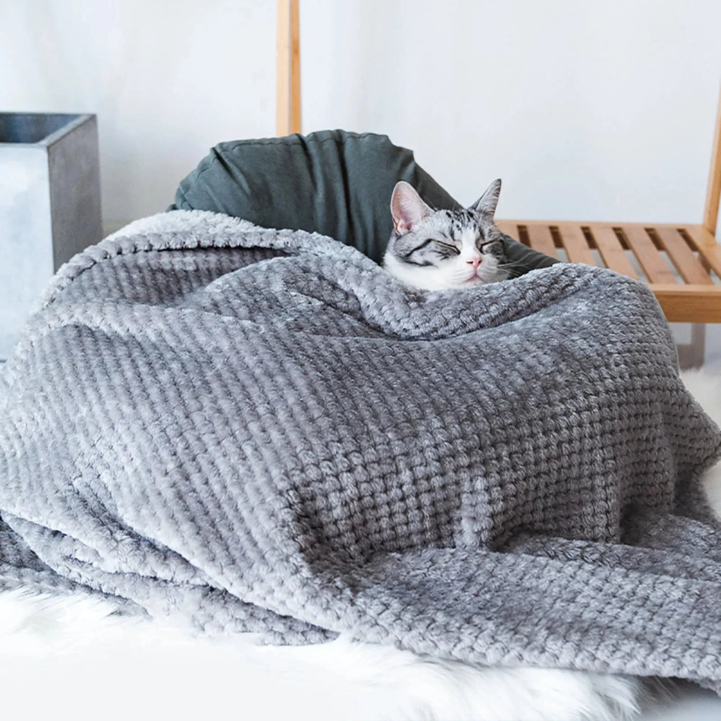Couverture Douce Et Moelleuse Pour Chien Et Chat