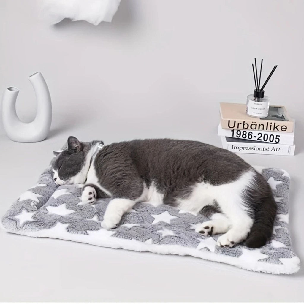 couverture pour chat | DODOCOUV'
